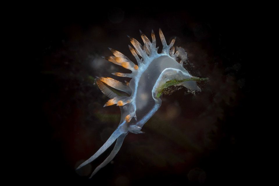 Fotografia di Alessandro Rogato