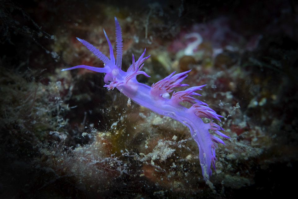 Fotografia di Alessandro Rogato